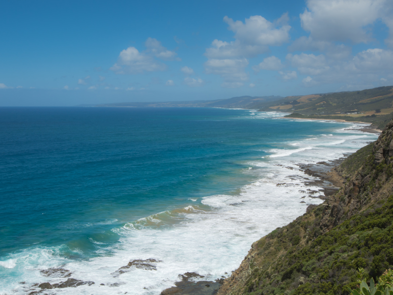 Drive Great Ocean Road and Kangaroo Island — 10